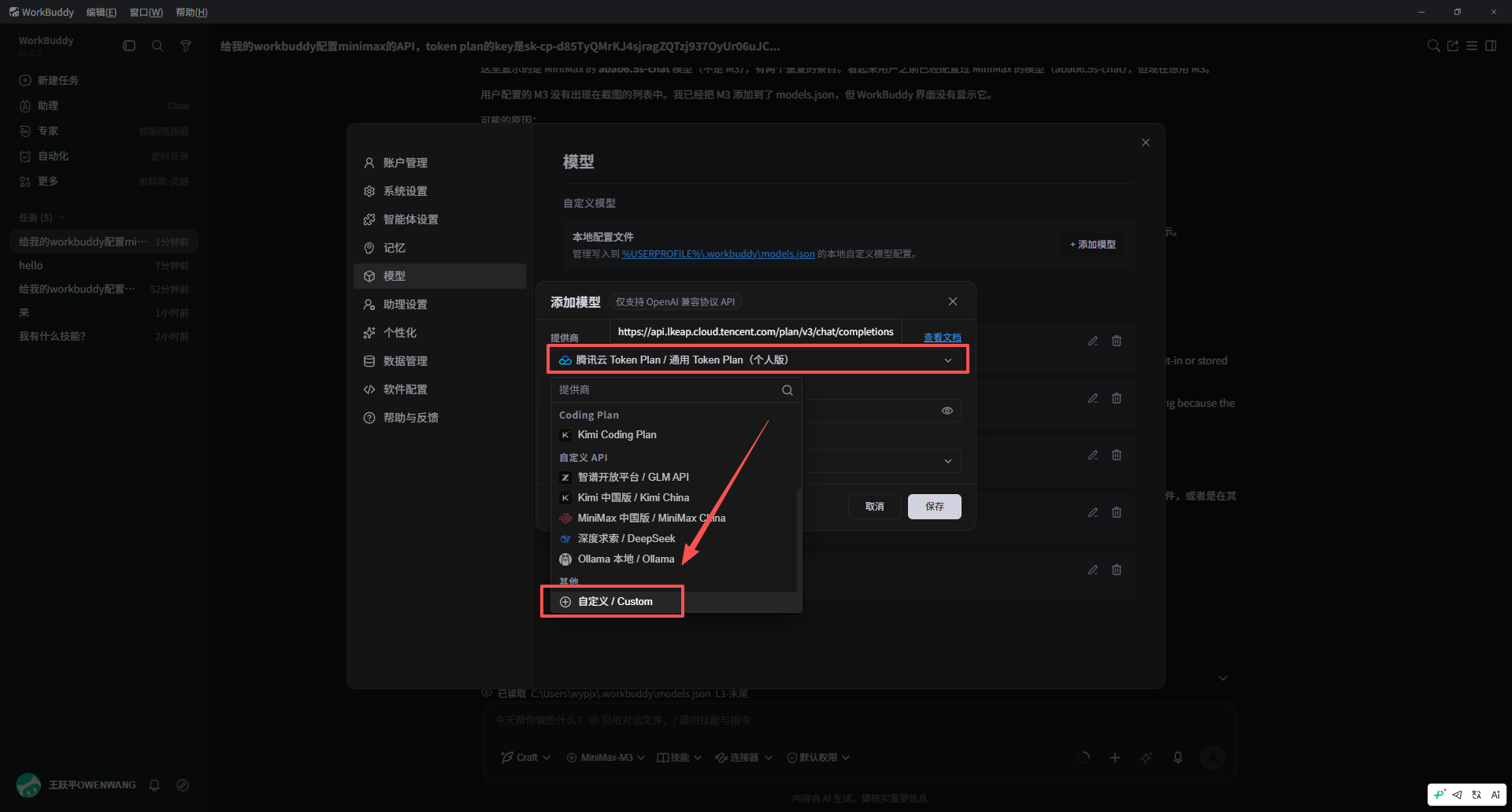 选择自定义模型提供商